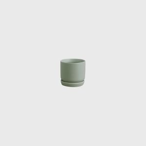 Mini Oslo Planter in Sage Green - has a drainage hole and includes the matching saucer.  Ideal for succulents, cacti, baby plants and cuttings.