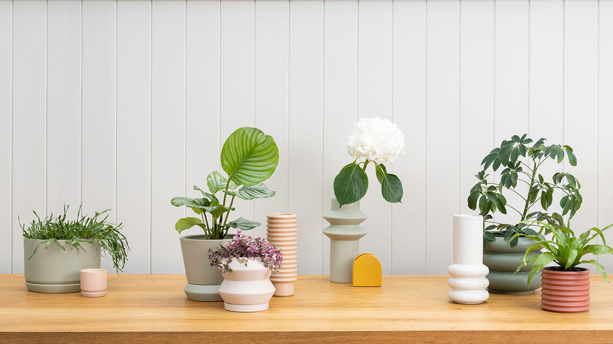 The home of beautiful plant pots
